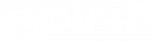 aviokompanija-logo
